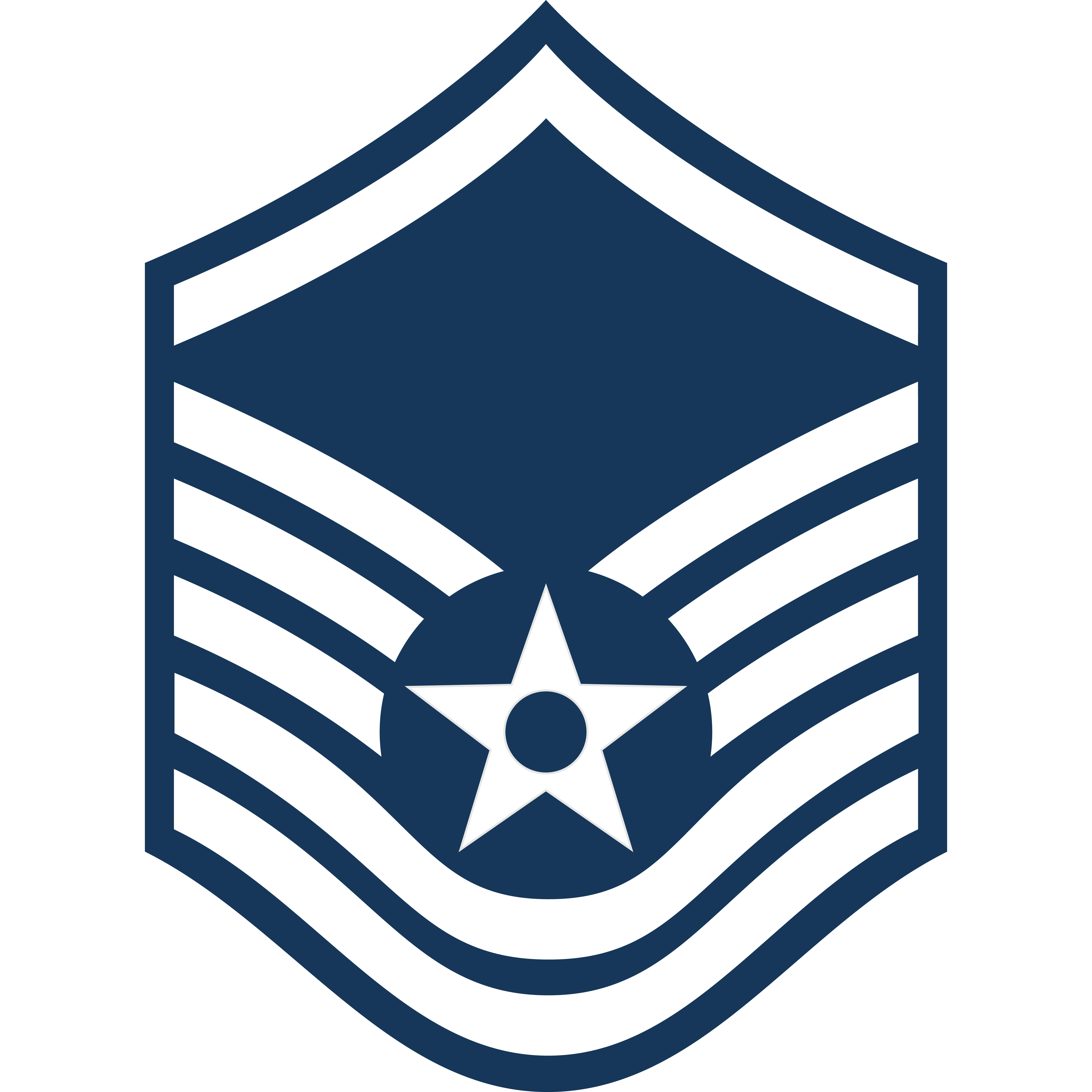 MSGT rank