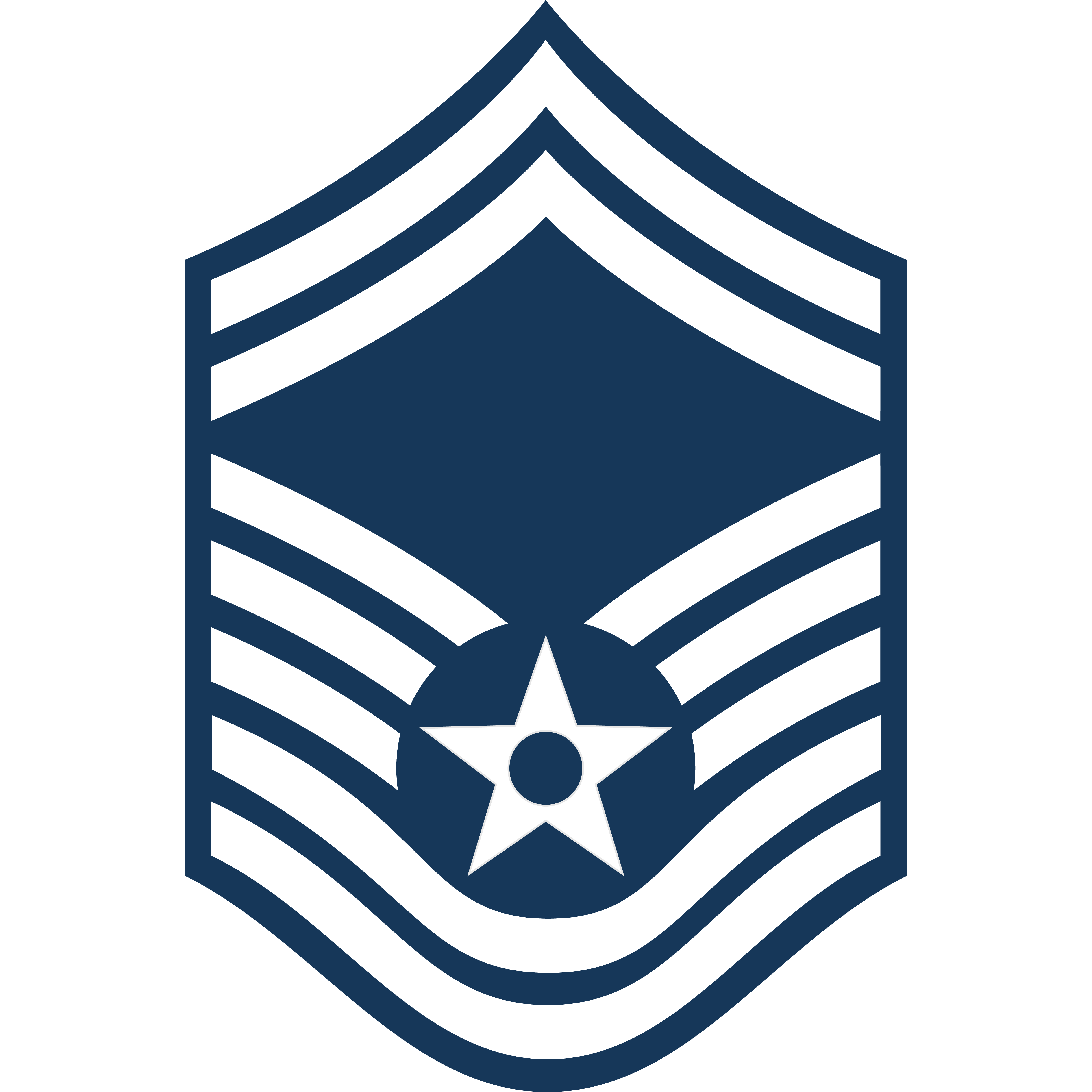 SMSGT rank