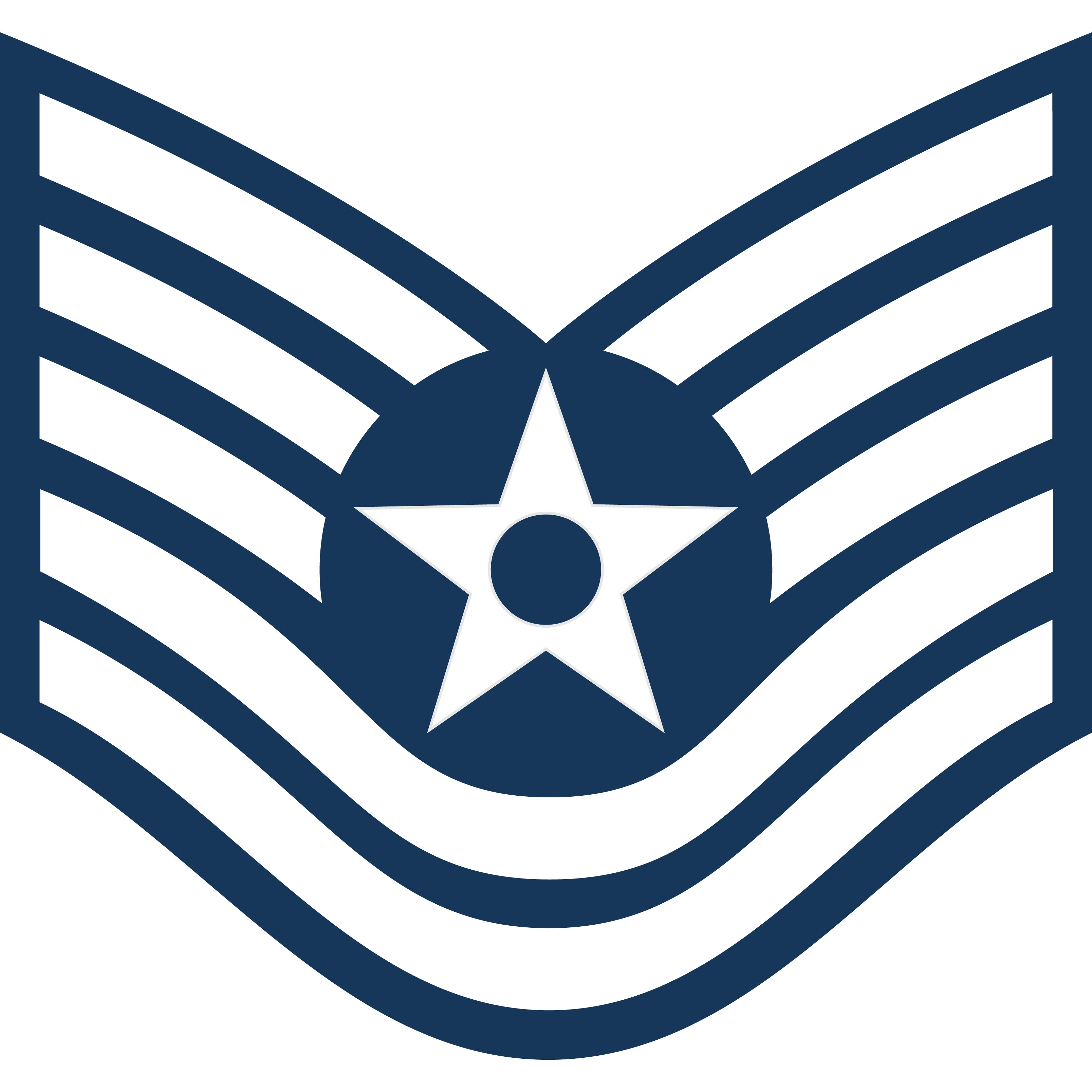 TSGT rank